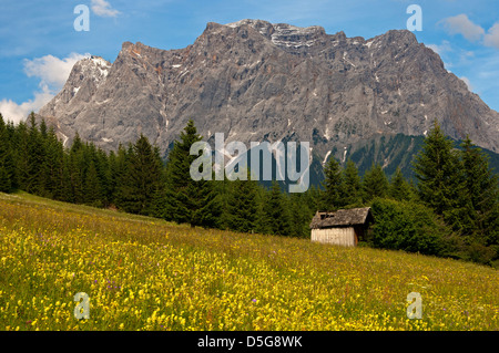 Wetterstein gamma di montagna con picchi di Zugspitze, Schneefernerkopf e Wetterspitzen, Ehrwald, Zugspitz Arena del Tirolo, Austria Foto Stock