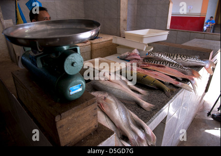 Il mercato del pesce di Santarem, nell Amazzonia brasiliana Foto Stock