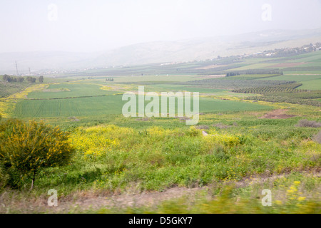 Bassa Galilea della regione, vicino a Tiberiade, Israele, Medio Oriente Foto Stock