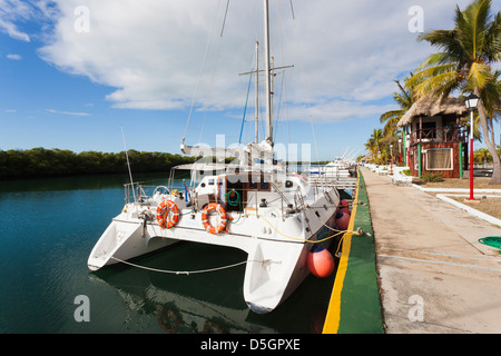 Cuba, provincia di Matanzas, Varadero, Marlin Marina Chapelin, imbarcazioni da diporto marina Foto Stock