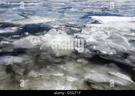 Glaçon in Drammen Fjord in Svelvik, Norvegia, Europa Foto Stock