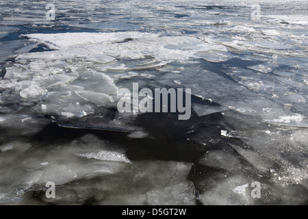 Glaçon in Drammen Fjord in Svelvik, Norvegia, Europa Foto Stock