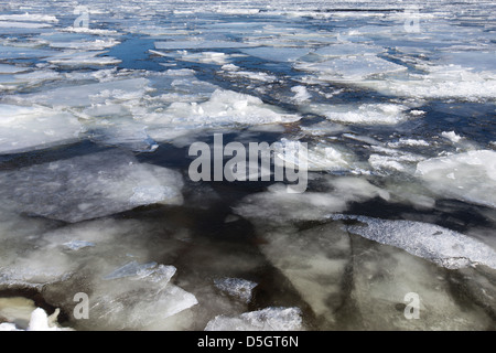 Glaçon in Drammen Fjord in Svelvik, Norvegia, Europa Foto Stock