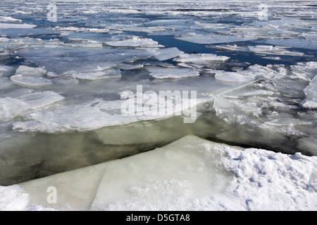 Glaçon in Drammen Fjord in Svelvik, Norvegia, Europa Foto Stock