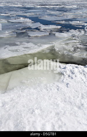 Glaçon in Drammen Fjord in Svelvik, Norvegia, Europa Foto Stock