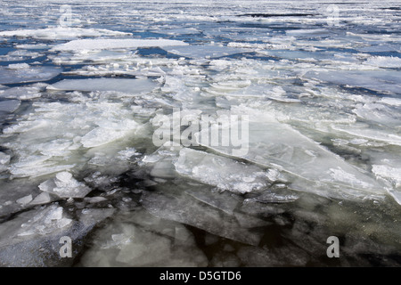 Glaçon in Drammen Fjord in Svelvik, Norvegia, Europa Foto Stock