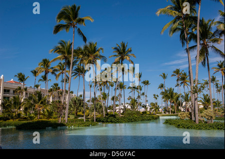 Repubblica Dominicana, Punta Cana, Higuey, Bavaro, Iberostar Grand, piscina Foto Stock