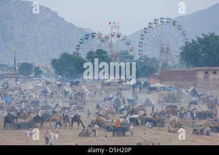 Mare di cammelli e tende nel deserto di fronte alla ferris ruote della fiera al Pushlar Mela, Pushkar, Rajasthan, India Foto Stock