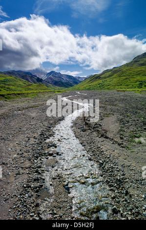 Snow melt dall'Alaska Range alimenta un piccolo ruscello, Parco Nazionale di Denali, Alaska, STATI UNITI D'AMERICA Foto Stock