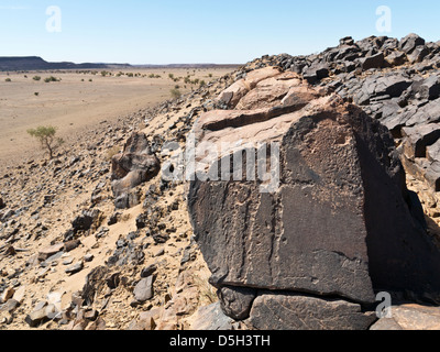 Preistoria le incisioni rupestri a Oued Mestakou sulla Tata ad Akka road in Marocco. Foto Stock