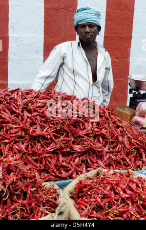 Sacchetti di peperoncini rossi su un mercato indiano Foto Stock