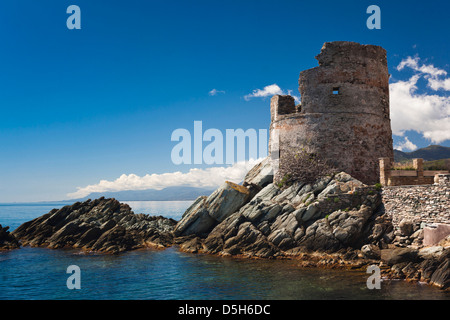 Francia, Corsica, Le Cap Corse, Erbalunga, Torre Genovese Foto Stock