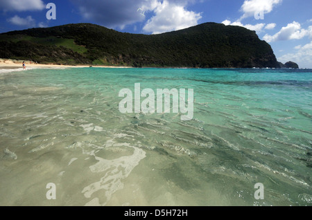 Pescare nei fondali bassi a Ned spiaggia dell Isola di Lord Howe, Australia. No signor Foto Stock