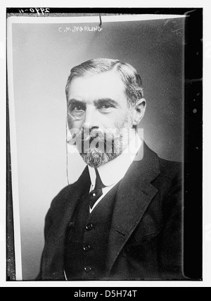 Questo ritratto raffigura O.M. Marling, un uomo con baffi e barba prominenti, caratteristico della moda del XX secolo. È vestito con un abbigliamento formale, indossando un colletto e un monocle, che riflettono le tendenze del periodo. Foto Stock