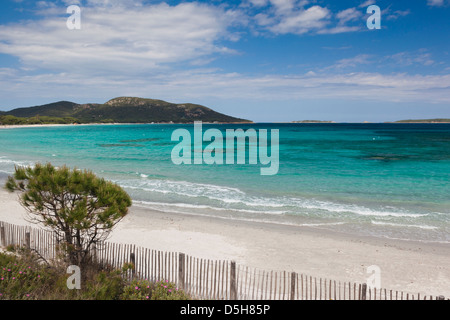 Francia, Corsica, Porto Vecchio, Plage de la spiaggia di Palombaggia Foto Stock