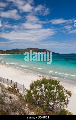 Francia, Corsica, Porto Vecchio, Plage de la spiaggia di Palombaggia Foto Stock