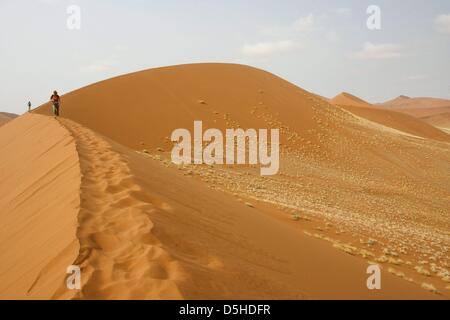 Dune 45 in Sossusvlei, Namibia, datata 14 settembre 2009. Il Sossusvlei - Namibia il paesaggio di evidenziare nel mezzo del deserto del Namib - è un tuffo di argilla circondata da possenti dune di sabbia. Le dune raggiungono altezze di 300 metri e appartengono quindi alla highes nel mondo. Sossusvlei dune sono frequenti e anche stabile. Questo è il motivo per cui un numero conteggio era stato possibile e utile anche per t Foto Stock