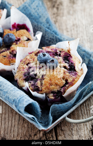 In casa muffin ai mirtilli in carta cupcake titolare Foto Stock