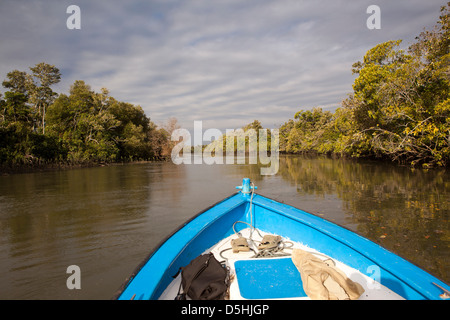 Madagascar, Funzionamento Wallacea, prua del Fiume Mariarano imbarcazione di ricerca Foto Stock