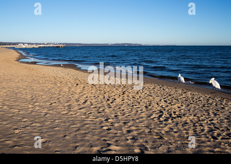 Costa polacca del Mar Baltico sulla spiaggia di Danzica Foto Stock