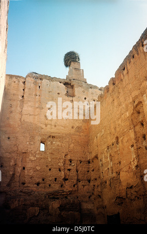 Palazzo El Badi, Marrakech, Marocco, Stork's Nest sulla parete Foto Stock