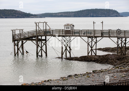 Alcuni Gabbiani su un molo in Bar Harbor, Maine, Stati Uniti d'America Foto Stock