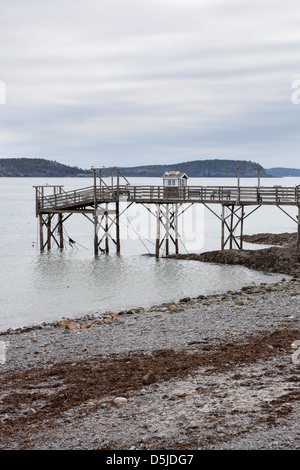 Un molo di andare in all'oceano, Bar Harbor, Maine, Stati Uniti d'America Foto Stock