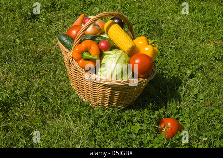 Cesto con verdura da una cucina giardino di erba ongreen Foto Stock