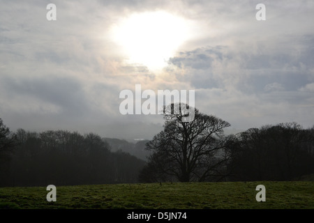 Witton Country Park, Blackburn Lancashire. Foto Stock