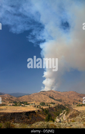 Pennacchio di fumo di un fuoco di foresta nella contea di Boise, Idaho, Stati Uniti d'America. Foto Stock