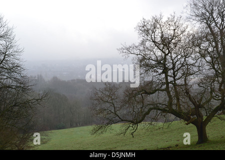 Witton Country Park, Blackburn Lancashire. Foto Stock