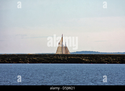 Un passeggero che trasportano schooner crociere lungo il Rockland frangiflutti a pieno la vela su un pomeriggio d'estate, Rockland Maine Foto Stock