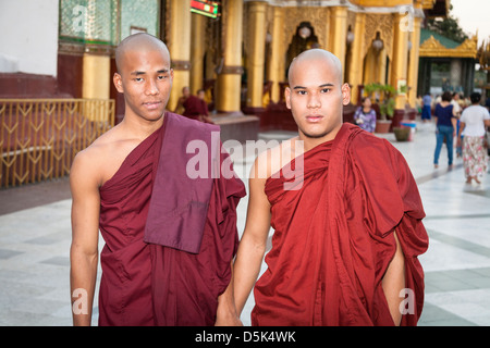 I giovani monaci buddisti a Shwedagon pagoda Yangon (Rangoon), Myanmar (Birmania) Foto Stock