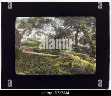 " Glen Oaks," James Hobart Moore house, East Valley Road, Montecito, California. (LOC) Foto Stock