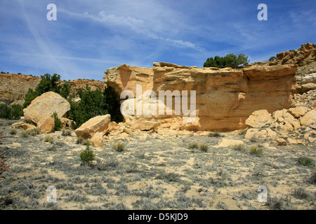 Arenaria gialla formazioni in Ojito Wilderness Area studio Foto Stock