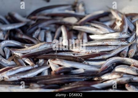 Il Ponte di Rialto Venezia con il quotidiano Erberia greengrocery mercato e il mercato del pesce sul campo della Pescheria. Foto Stock