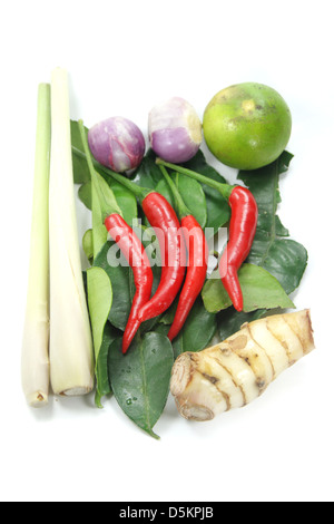 Tailandese Tom Yum spezie Foto Stock