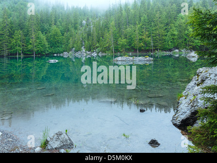 Piccole foreste di montagna lago in Francia Alpi (nebbiosa mattina d'estate). Foto Stock