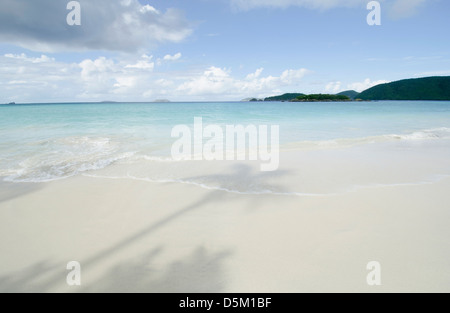 L'ombra delle palme sulla spiaggia sabbiosa Foto Stock