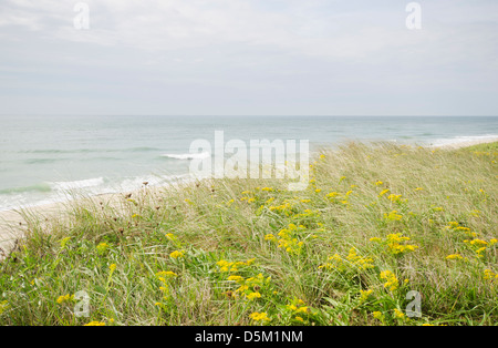 Stati Uniti d'America, Massachusetts, Nantucket Island, la vista della spiaggia di sabbia Foto Stock