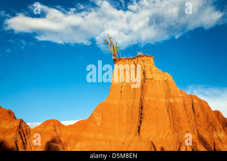 Un cactus appollaiato sulla cima di un bel rosso deserto hill nel deserto di Tatacoa in Huila, Colombia Foto Stock