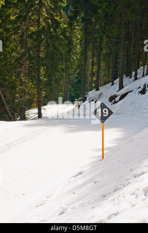 Foresta Nera via stazione sciistica Kopaonik, Serbia. Foto Stock