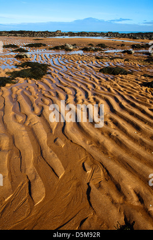 Modelli di sabbia sulla spiaggia di Airbow Punto vicino Kingsbarns sulla costa di Fife Scozia Scotland Foto Stock