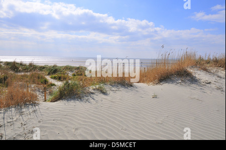 Vista della splendida spiaggia di sabbia West Wittering Blue Flag sulla costa meridionale del Regno Unito, Chichester, West Sussex, Inghilterra Foto Stock