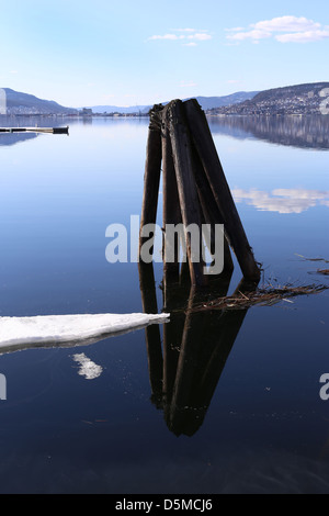 Pali in legno in un fiordo norvegese , Drammensfjorden, Drammen, Norvegia, Europa Foto Stock