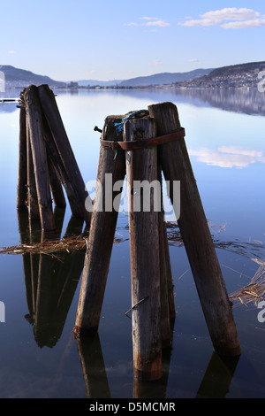 Pali in legno in un fiordo norvegese , Drammensfjorden, Drammen, Norvegia, Europa Foto Stock