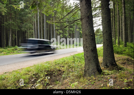 Nero auto sulla strada forestale Foto Stock