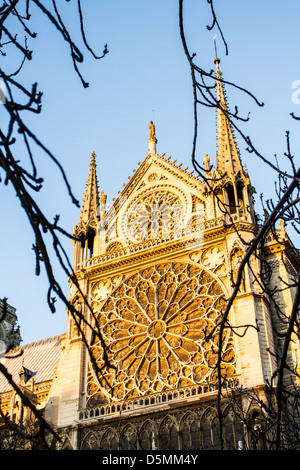 Rosone sulla facciata sud della cattedrale di Notre Dame (Cattedrale di Notre Dame de Paris). Foto Stock
