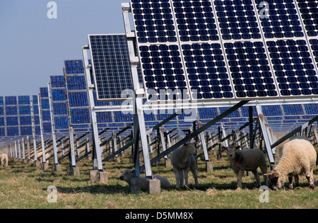 Germania, Pellworm un isola del mare del Nord, pannelli solari della produzione combinata di energia solare ed eolica stazione di EON Foto Stock