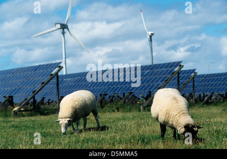 Germania, Pellworm un isola del mare del Nord, pannelli solari della produzione combinata di energia solare ed eolica stazione di EON Foto Stock